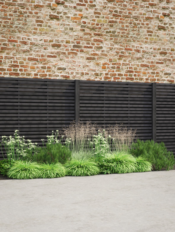 Soto Green sunny plant collections. Professionally designed plant edits.